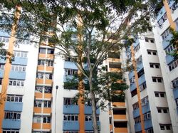 Blk 176 Boon Lay Green (Jurong West), HDB 3 Rooms #618152451